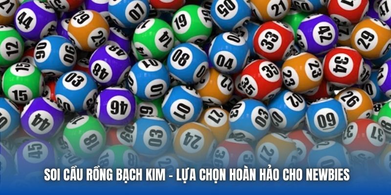 Soi Cầu Rồng Bạch Kim - Lựa Chọn Hoàn Hảo Cho Newbies
