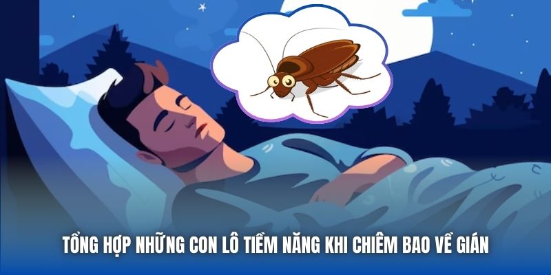 Tổng hợp những con lô tiềm năng khi chiêm bao về gián